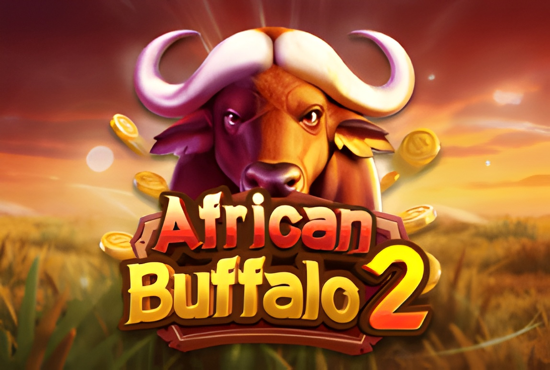 African Buffalo 2