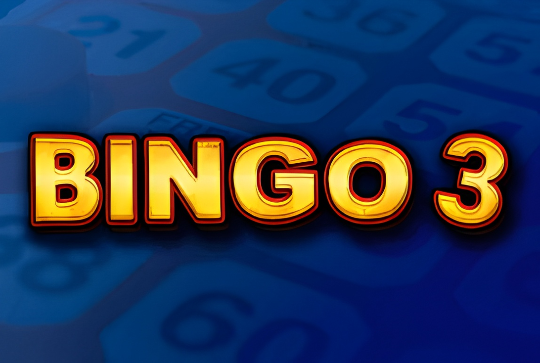 Bingo 3