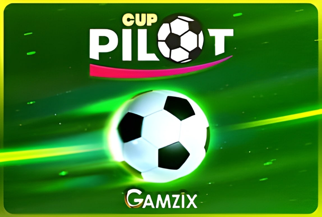 Pilot Cup