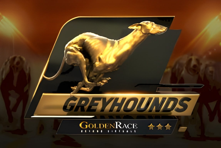 Dog 6 H.Odds