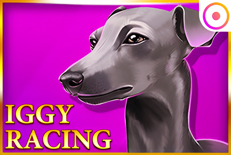 Iggy Racing