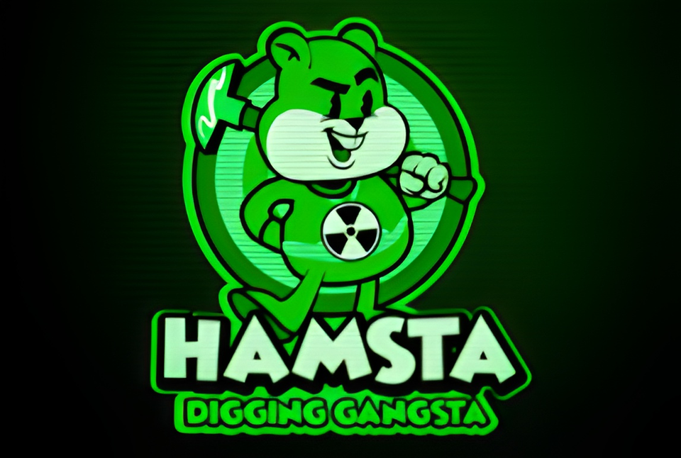 Hamsta